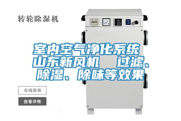 室內(nèi)空氣凈化系統(tǒng) 山東新風(fēng)機  過濾、除濕、除味等效果