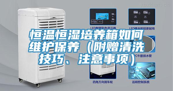 恒溫恒濕培養(yǎng)箱如何維護保養(yǎng)（附贈清洗技巧、注意事項）