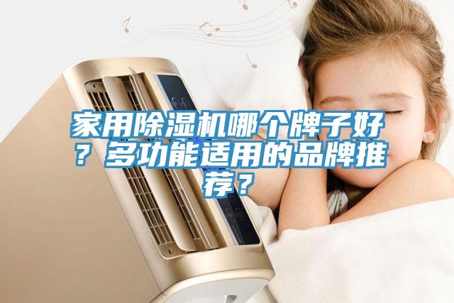 家用除濕機哪個牌子好？多功能適用的品牌推薦？