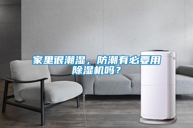 家里很潮濕，防潮有必要用除濕機(jī)嗎？