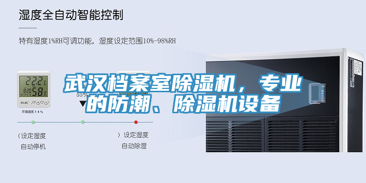 武漢檔案室除濕機(jī)，專業(yè)的防潮、除濕機(jī)設(shè)備