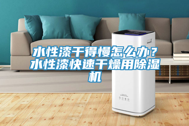 水性漆干得慢怎么辦？水性漆快速干燥用除濕機(jī)