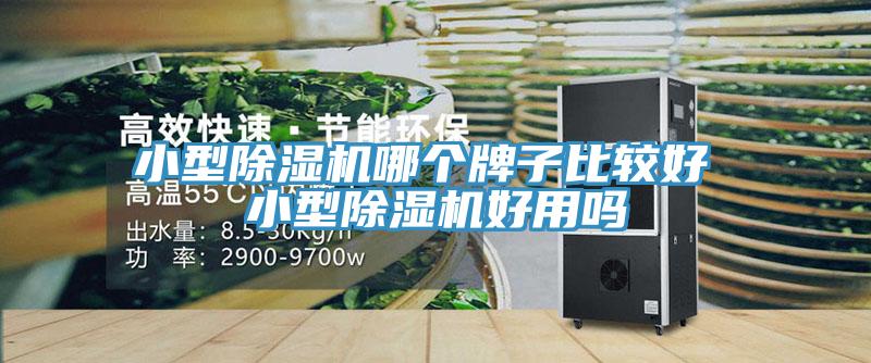 小型除濕機(jī)哪個牌子比較好 小型除濕機(jī)好用嗎