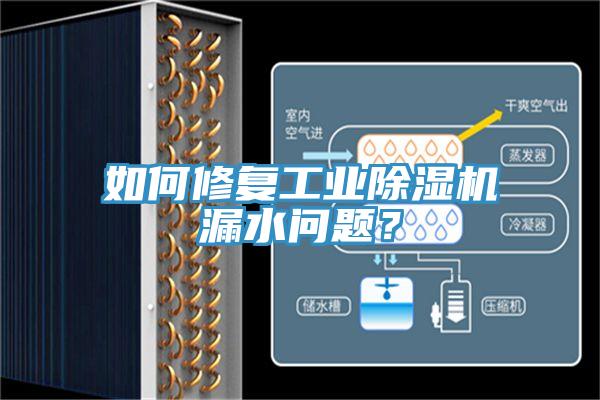 如何修復(fù)工業(yè)除濕機(jī)漏水問題？