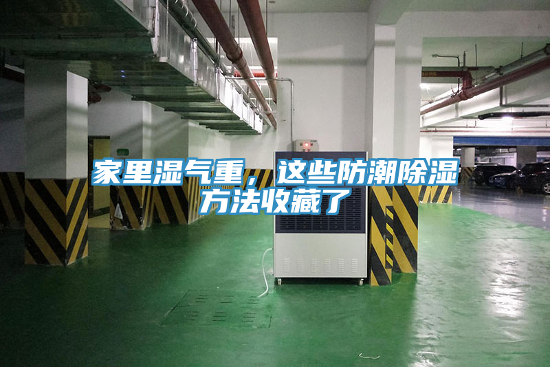 家里濕氣重，這些防潮除濕方法收藏了