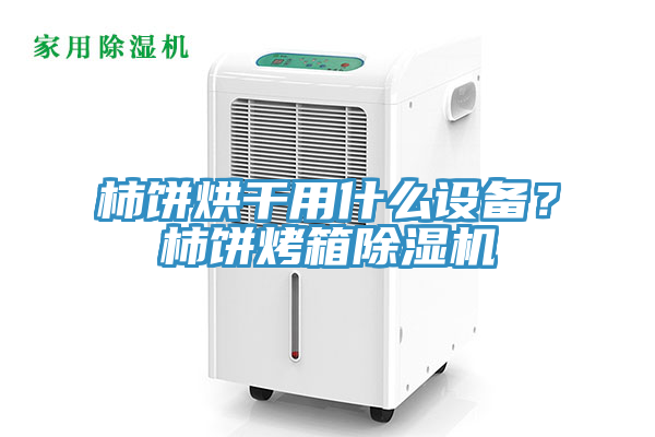 柿餅烘干用什么設(shè)備？柿餅烤箱除濕機(jī)