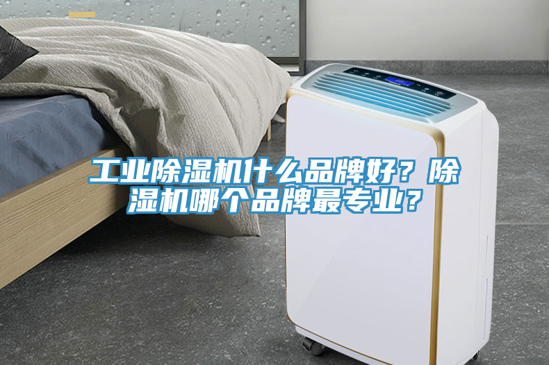 工業(yè)除濕機(jī)什么品牌好？除濕機(jī)哪個(gè)品牌最專業(yè)？