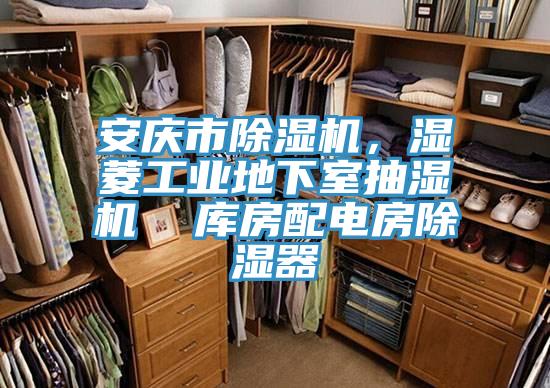 安慶市除濕機(jī)，濕菱工業(yè)地下室抽濕機(jī)  庫房配電房除濕器