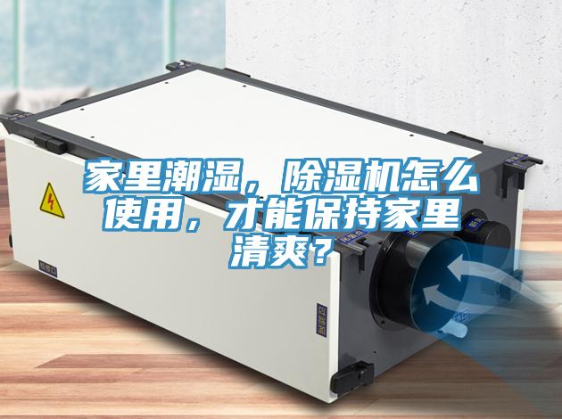 家里潮濕，除濕機(jī)怎么使用，才能保持家里清爽？