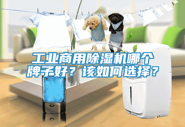 工業(yè)商用除濕機(jī)哪個牌子好？該如何選擇？