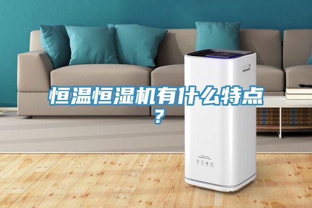 恒溫恒濕機(jī)有什么特點(diǎn)？