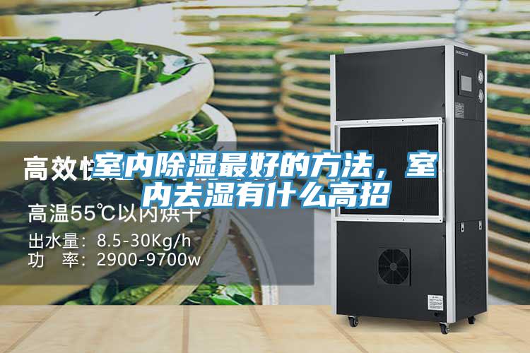 室內(nèi)除濕最好的方法，室內(nèi)去濕有什么高招