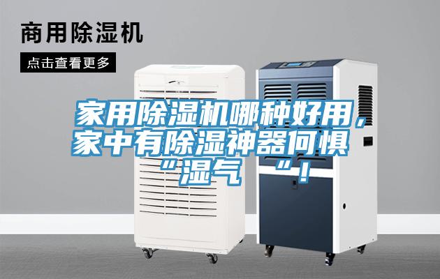 家用除濕機(jī)哪種好用，家中有除濕神器何懼 “濕氣 “！