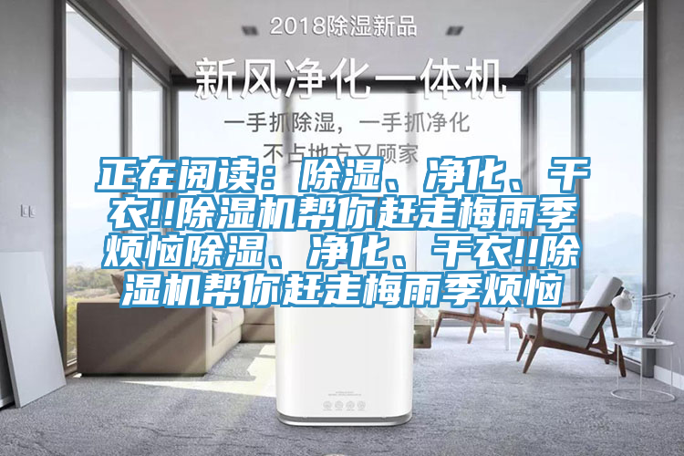 正在閱讀：除濕、凈化、干衣!!除濕機幫你趕走梅雨季煩惱除濕、凈化、干衣!!除濕機幫你趕走梅雨季煩惱