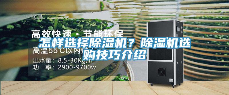怎樣選擇除濕機？除濕機選購技巧介紹