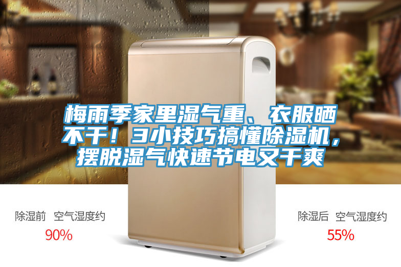 梅雨季家里濕氣重、衣服曬不干！3小技巧搞懂除濕機(jī)，擺脫濕氣快速節(jié)電又干爽
