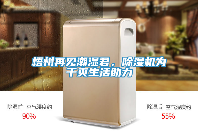 梧州再見潮濕君，除濕機為干爽生活助力