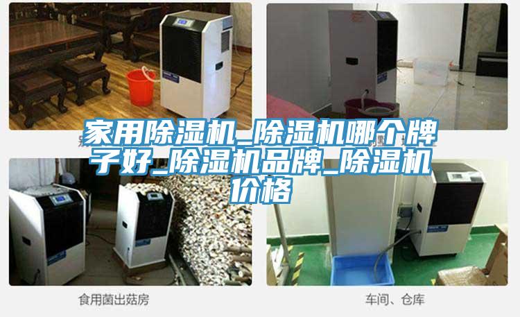 家用除濕機(jī)_除濕機(jī)哪個牌子好_除濕機(jī)品牌_除濕機(jī)價(jià)格