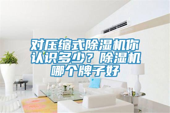 對壓縮式除濕機(jī)你認(rèn)識多少？除濕機(jī)哪個牌子好