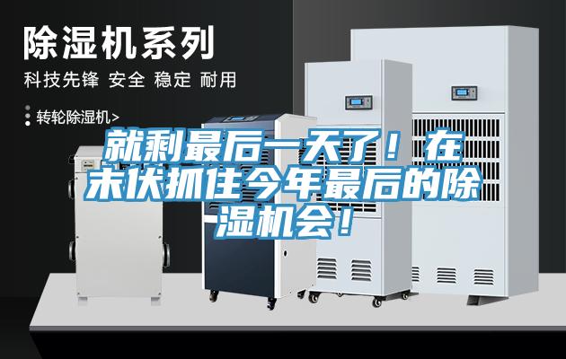就剩最后一天了！在末伏抓住今年最后的除濕機會！