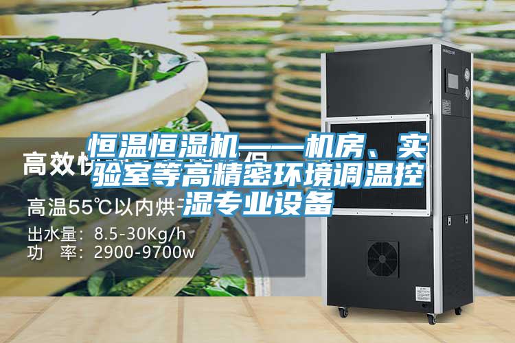 恒溫恒濕機——機房、實驗室等高精密環(huán)境調(diào)溫控濕專業(yè)設(shè)備
