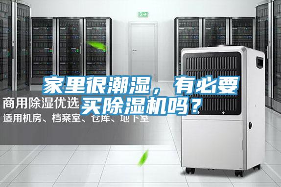 家里很潮濕，有必要買除濕機嗎？