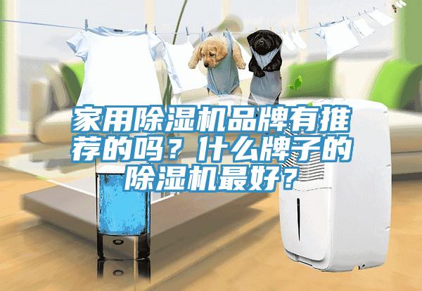 家用除濕機(jī)品牌有推薦的嗎？什么牌子的除濕機(jī)最好？