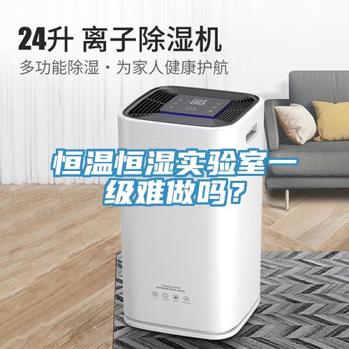 恒溫恒濕實(shí)驗(yàn)室一級(jí)難做嗎？