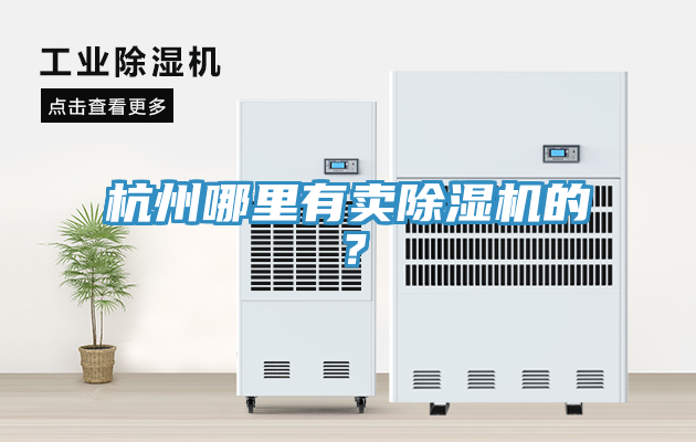 杭州哪里有賣(mài)除濕機(jī)的？