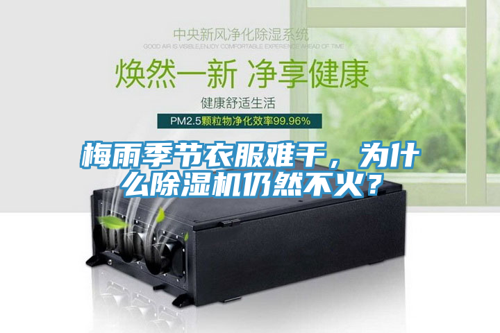 梅雨季節(jié)衣服難干，為什么除濕機仍然不火？