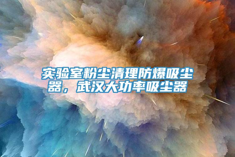 實驗室粉塵清理防爆吸塵器，武漢大功率吸塵器