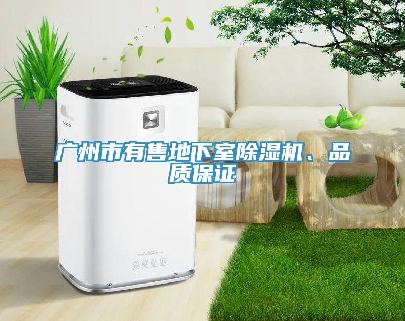 廣州市有售地下室除濕機、品質保證