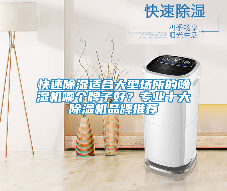 快速除濕適合大型場所的除濕機哪個牌子好？專業(yè)十大除濕機品牌推薦