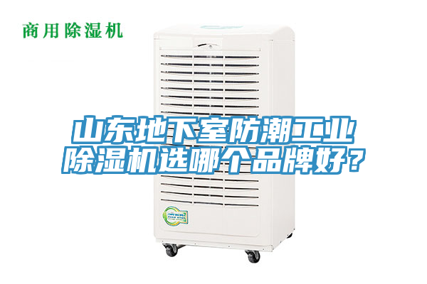 山東地下室防潮工業(yè)除濕機(jī)選哪個(gè)品牌好？