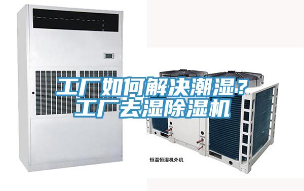 工廠如何解決潮濕？工廠去濕除濕機