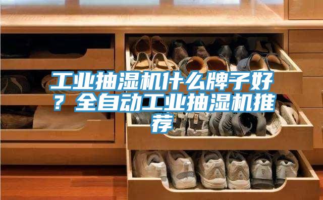工業(yè)抽濕機(jī)什么牌子好？全自動(dòng)工業(yè)抽濕機(jī)推薦