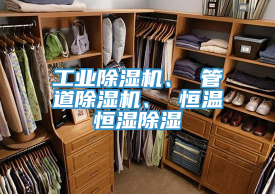 工業(yè)除濕機(jī)、 管道除濕機(jī)、 恒溫恒濕除濕