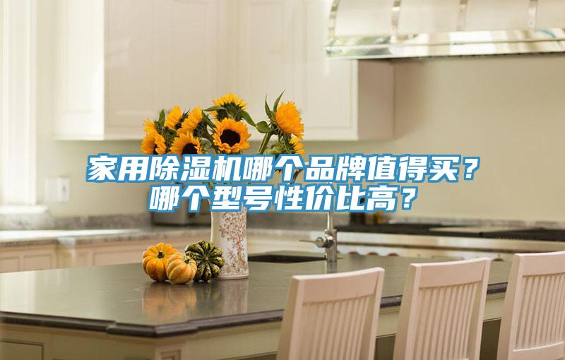 家用除濕機(jī)哪個(gè)品牌值得買？哪個(gè)型號(hào)性價(jià)比高？