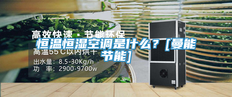 恒溫恒濕空調(diào)是什么？[曼能節(jié)能]