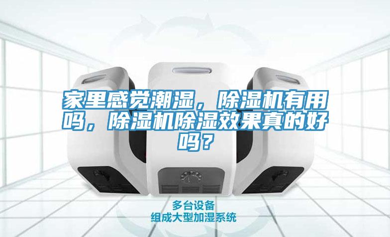 家里感覺(jué)潮濕，除濕機(jī)有用嗎，除濕機(jī)除濕效果真的好嗎？