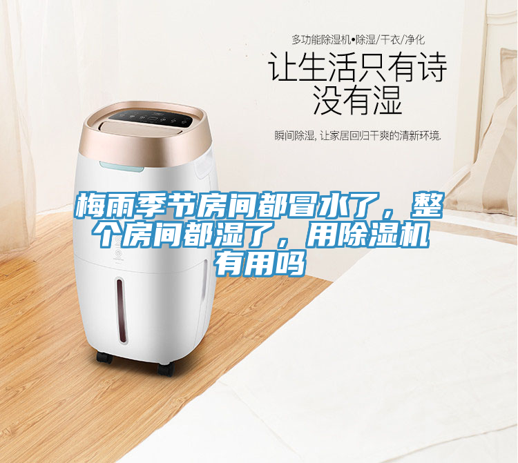梅雨季節(jié)房間都冒水了，整個房間都濕了，用除濕機(jī)有用嗎