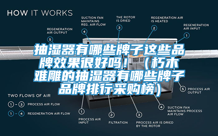 抽濕器有哪些牌子這些品牌效果很好嗎?。ㄐ嗄倦y雕的抽濕器有哪些牌子品牌排行采購榜）