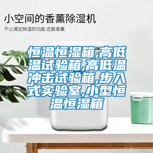 恒溫恒濕箱,高低溫試驗箱,高低溫沖擊試驗箱,步入式實(shí)驗室,小型恒溫恒濕箱