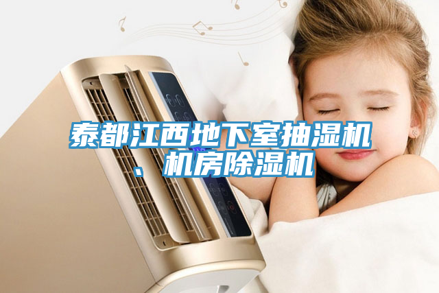 泰都江西地下室抽濕機(jī)、機(jī)房除濕機(jī)