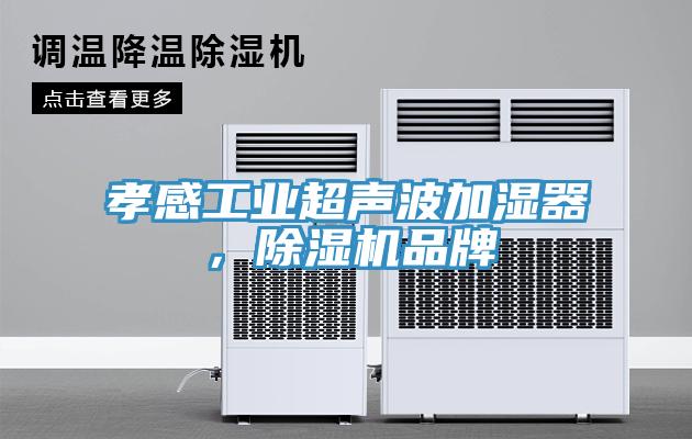 孝感工業(yè)超聲波加濕器，除濕機(jī)品牌
