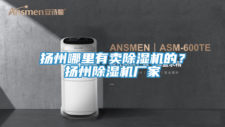 揚州哪里有賣除濕機的？揚州除濕機廠家