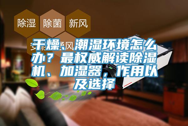 干燥、潮濕環(huán)境怎么辦？最權(quán)威解讀除濕機(jī)、加濕器，作用以及選擇