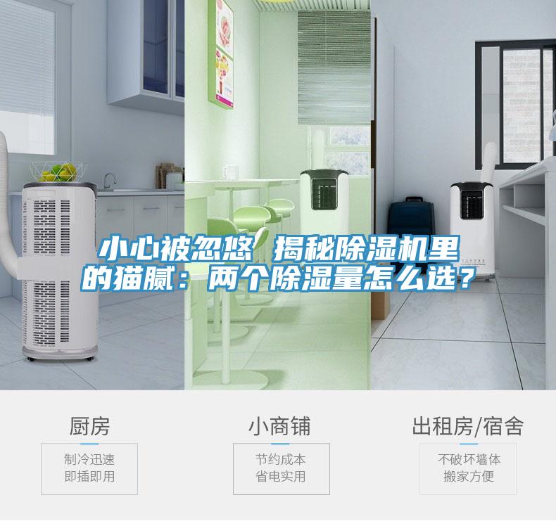 小心被忽悠 揭秘除濕機里的貓膩：兩個除濕量怎么選？