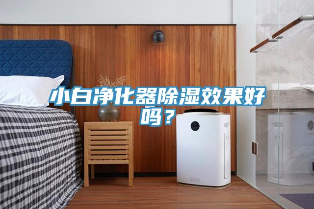 小白凈化器除濕效果好嗎？