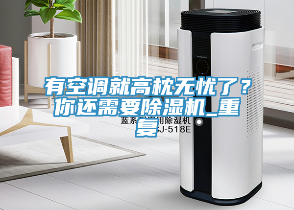 有空調(diào)就高枕無(wú)憂(yōu)了？你還需要除濕機(jī)_重復(fù)